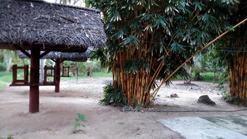 Surrounding environment, ULPATHA ECO LODGE in Kurunegala Town Central