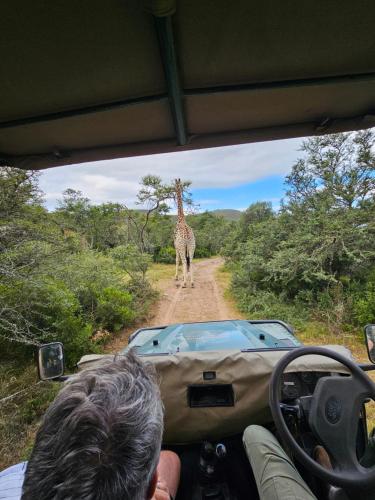 Garden Route Safari Camp