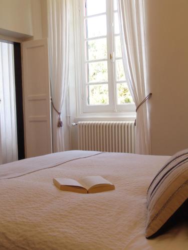 Villanova - Nature & Wellness