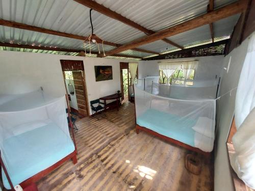 1 king bed, 2 twin beds