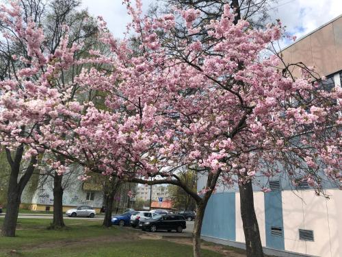 Good location & infrastructure