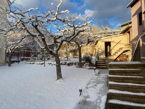 Faciliteiten, Cal Carol in Saldes