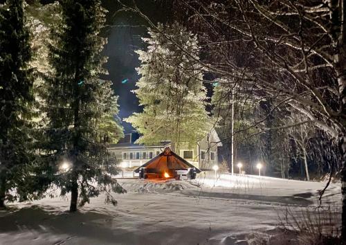 Mummola - Accommodation - Naamijoki