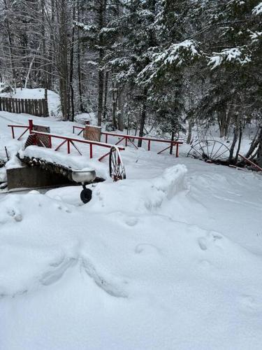 Chalet confortable en pleine nature - Notre-Dame-de-la-Paix