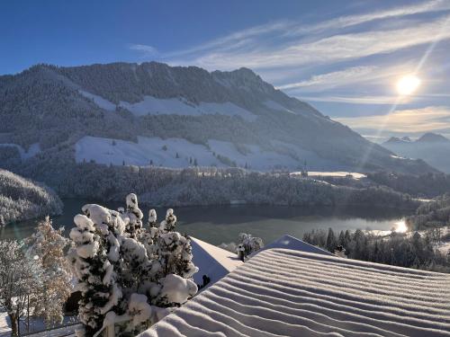 Chalet les Ecureuils Apartment Penthouse Suite in 克雷敘