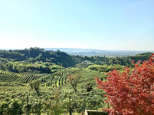 Relax nelle colline del Prosecco