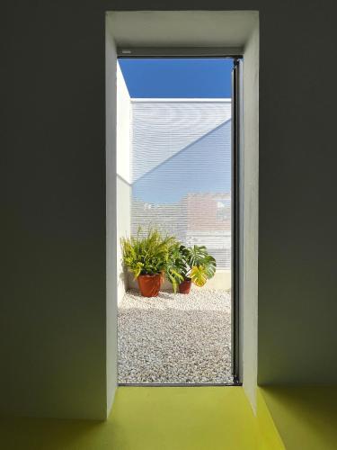 Design & art, patio with orange tree, near Seville