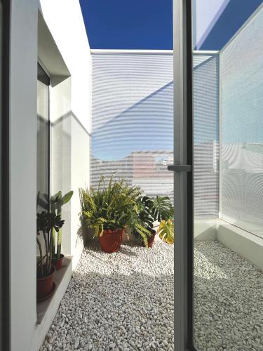 Design & art, patio with orange tree, near Seville