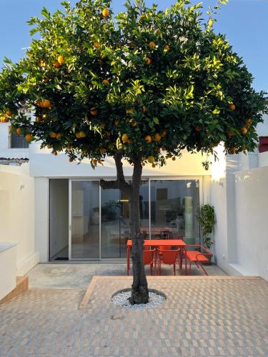 Design & art, patio with orange tree, near Seville in Huevar Del Aljarafe