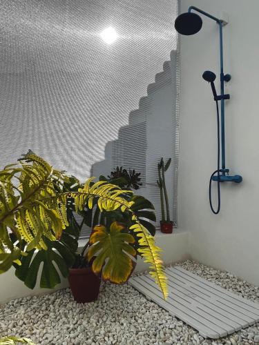 Design & art, patio with orange tree, near Seville