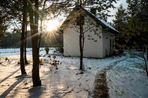 Domek Leśny Spokój Smyków - AGROTURYSTYKA