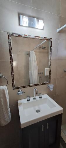 One-Bedroom Apartment image 7