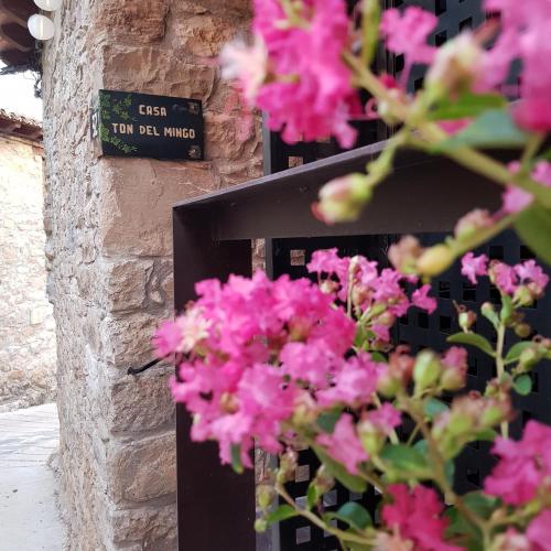 Casa Ton del Mingo in Sant Cerni