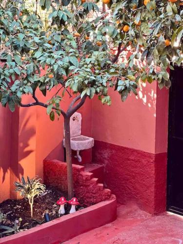 Zarlett House, Pazari ri ,Villa with Garden,Parking, Tirana (Foto 9)