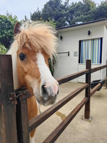 The Stable Annexe & Spa