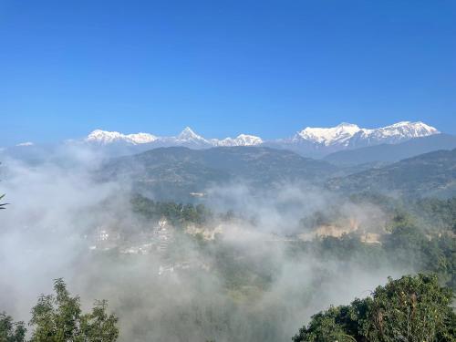Himalaya Serene View Guest House & Farm Stay