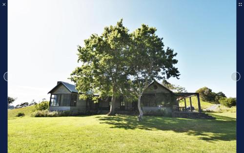 外部景觀, Blue Hills Luxury Farm Stay in 蒂爾瓦蒂爾瓦