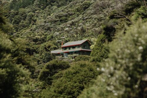 Buffalo Lodge - Accommodation - Coromandel Town