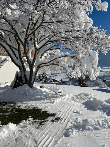 สภาพแวดล้อมโดยรอบ, Panorama Appartements in เอกก์