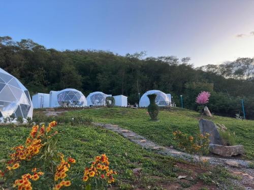 NiNo San Glamping - Pak Chong - 주변 환경