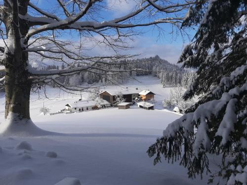  Bauernhof Ablass, Pension in Göstling an der Ybbs bei Hohenlehen