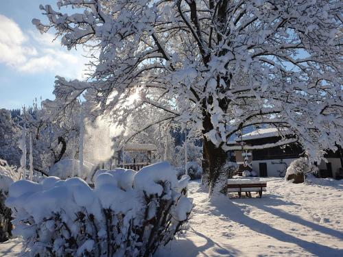 Bauernhof Hanslingerhof