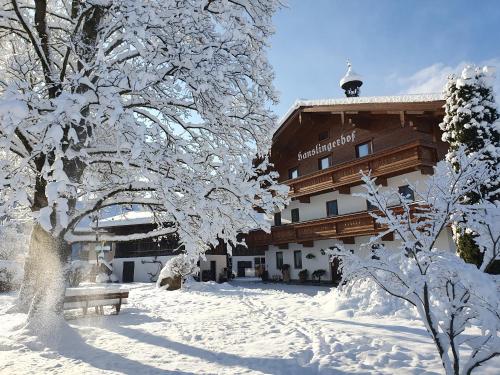 Bauernhof Hanslingerhof - Hotel - Wörgl