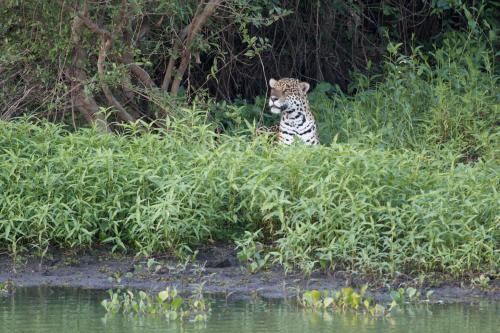 旧金山庄园宾馆