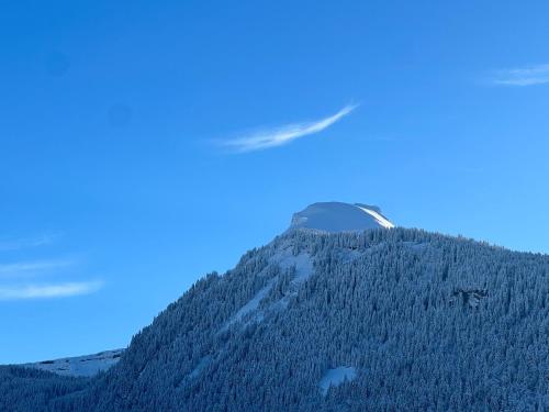 Hotel Igloo - image 11