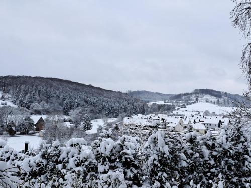 Sauerland-Tinyworld - Ihr Tiny Ferienhaus im Sauerland am Diemelsee - Hotel