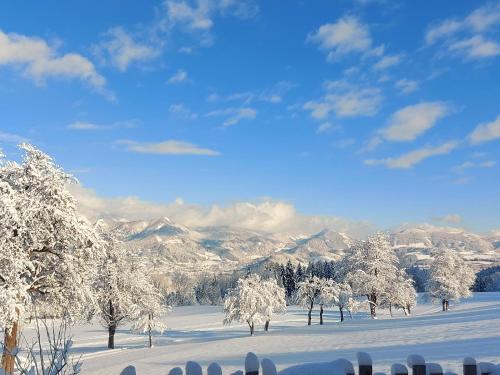 景觀, Chalet Troadkasten Biohof Kreilgut in 福德爾施托德爾