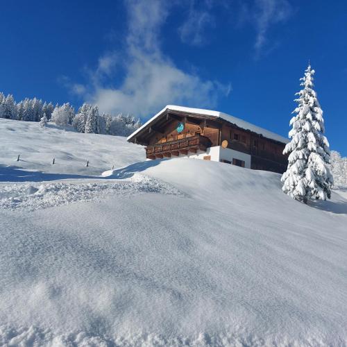  Haus Obweg - Postalm, Hallein bei Scheffau am Tennengebirge