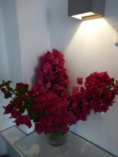 Despina's Mare - image 2