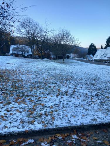 Le Tonneau Bleu - Appt avec piscine partagée (Le Tonneau Bleu - Appt avec piscine partagee) in Lembach