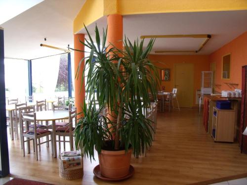 Hôtel Noctuel Blois Sud 2