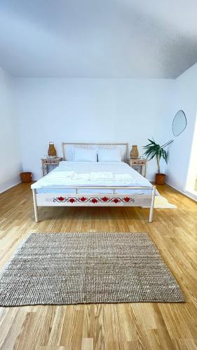 BioLocalia House Dobrogea - Apartment - Baloteşti