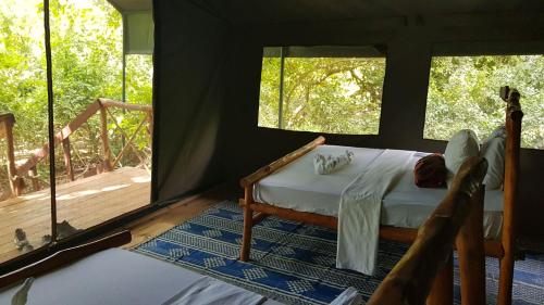 Camp Seluu - Safari Pkg