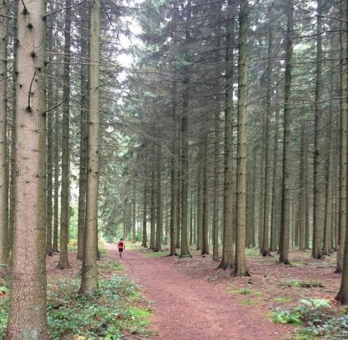 Escale Chambre d'hôtes Au coeur du vieux Profondeville entre Namur et Dinant