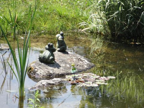Stanglehen, Mittersill (zdjęcie 10)