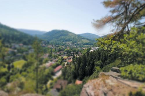 Schwarzwald Panorama