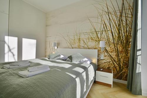 One-Bedroom Apartment image 2