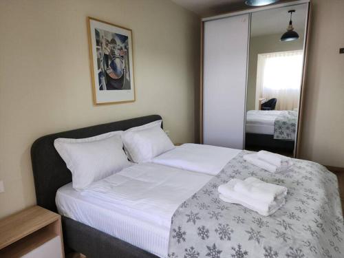 Ben's Apartment-City Center, Tirana (photo 2)