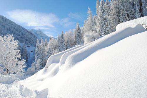 Alpenchalet Piz Hüsli Alpenchalet Piz Hüsli