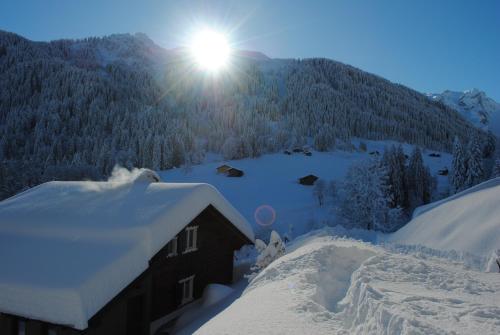 Alpenchalet Piz Hüsli Alpenchalet Piz Hüsli