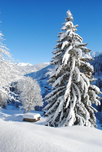 Alpenchalet Piz Hüsli Alpenchalet Piz Hüsli