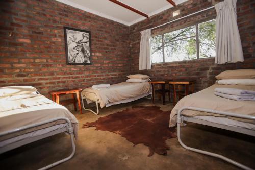Leeurivier Karoo Lapa – Beaufort West
