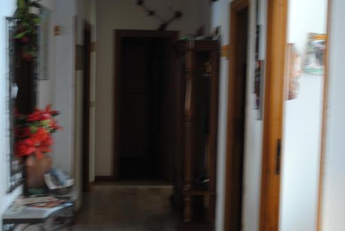 Facilities, Calciufetta in Alghero