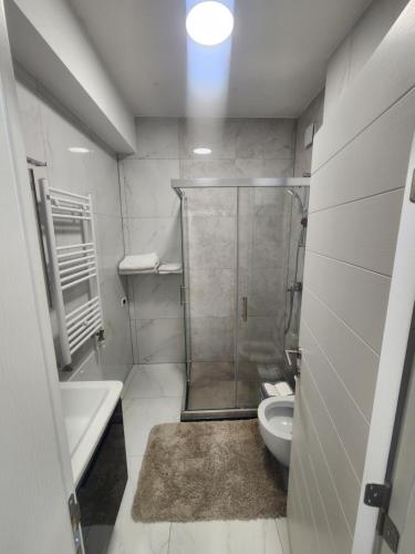 Luxury Vlae 1 Apartaments, Skopje (photo 8)