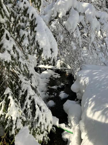 Ferienwohnung Bergblick am Rande der Wildnis