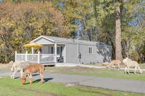 Cozy Placerville Cottage with Pool on Livestock Farm